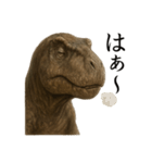 仕事終わりひとこと集〜ティラノサウルス（個別スタンプ：5）