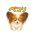 パピヨン、気持ちを伝えるスタンプ（個別スタンプ：3）