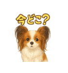 パピヨン、気持ちを伝えるスタンプ（個別スタンプ：6）