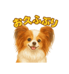 パピヨン、気持ちを伝えるスタンプ（個別スタンプ：8）