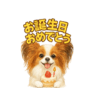 パピヨン、気持ちを伝えるスタンプ（個別スタンプ：13）