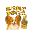 パピヨン、気持ちを伝えるスタンプ（個別スタンプ：16）