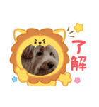 ドアップラテ（個別スタンプ：1）