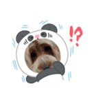 ドアップラテ（個別スタンプ：2）