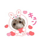 ドアップラテ（個別スタンプ：4）