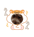 ドアップラテ（個別スタンプ：5）