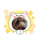 ドアップラテ（個別スタンプ：8）