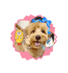 気遣いラテくん（個別スタンプ：6）