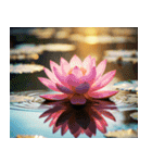 オラクル風スタンプ：文字あり＆なしver（個別スタンプ：29）