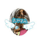 ぺーさんと日常（個別スタンプ：3）