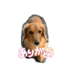 ぺーさんと日常（個別スタンプ：5）