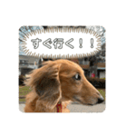 ぺーさんと日常（個別スタンプ：6）