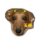 ぺーさんと日常（個別スタンプ：8）