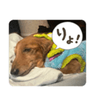 ぺーさんと日常（個別スタンプ：16）
