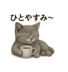 【癒し】リアルなマンチカンまったりカフェ（個別スタンプ：13）