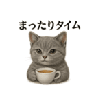 【癒し】リアルなマンチカンまったりカフェ（個別スタンプ：15）