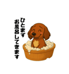 あぶまるの日常（個別スタンプ：13）