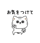 ねこ依存敬語ゆるめだよ（個別スタンプ：24）