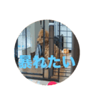 名前は、レオくん（個別スタンプ：4）