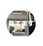 名前は、レオくん（個別スタンプ：7）