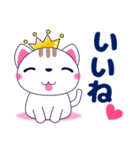 ずっと使える心優しいきづかい青い目の猫（個別スタンプ：3）