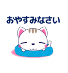 ずっと使える心優しいきづかい青い目の猫（個別スタンプ：6）