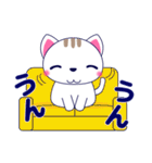 ずっと使える心優しいきづかい青い目の猫（個別スタンプ：7）