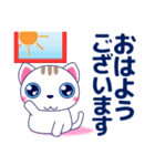 ずっと使える心優しいきづかい青い目の猫（個別スタンプ：13）