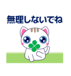 ずっと使える心優しいきづかい青い目の猫（個別スタンプ：25）