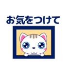ずっと使える心優しいきづかい青い目の猫（個別スタンプ：26）