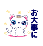 ずっと使える心優しいきづかい青い目の猫（個別スタンプ：31）
