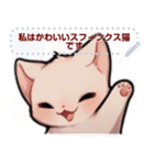 スフィンクス猫の日常（J4）（個別スタンプ：6）