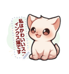 スフィンクス猫の日常（J4）（個別スタンプ：11）