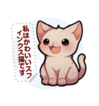 スフィンクス猫の日常（J4）（個別スタンプ：13）
