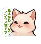 スフィンクス猫の日常生活（J3）（個別スタンプ：1）