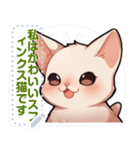 スフィンクス猫の日常生活（J3）（個別スタンプ：2）