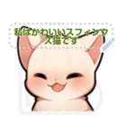 スフィンクス猫の日常生活（J3）（個別スタンプ：9）