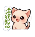 スフィンクス猫の日常生活（J3）（個別スタンプ：17）