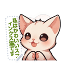 スフィンクス猫の日常生活（J3）（個別スタンプ：19）