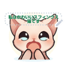 スフィンクス猫の日常（J2）（個別スタンプ：3）