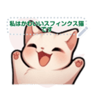 スフィンクス猫の日常（J2）（個別スタンプ：8）