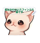 スフィンクス猫の日常（J2）（個別スタンプ：16）