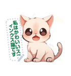 スフィンクス猫の日常（J2）（個別スタンプ：23）