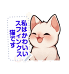 スフィンクス猫の日常生活（J1）（個別スタンプ：13）