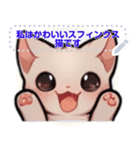 スフィンクス猫の日常生活（J1）（個別スタンプ：23）