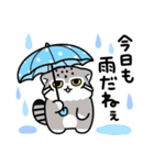 ゆるっとマヌルちゃん19 梅雨と初夏（個別スタンプ：1）