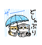 ゆるっとマヌルちゃん19 梅雨と初夏（個別スタンプ：5）