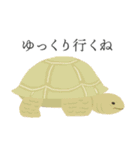 そぼくなどうぶつ1（個別スタンプ：13）
