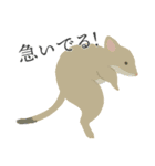 そぼくなどうぶつ1（個別スタンプ：28）