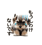 毎日のふわふわシュナウザー【日常会話】（個別スタンプ：5）